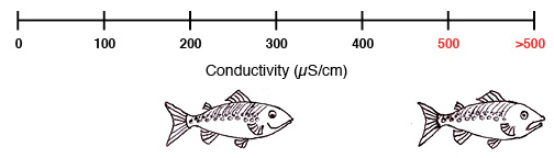 water-quality-101-ace-project